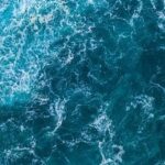 Mar Menor: Toutes les alarmes sont déclenchées, pour la première fois en 20 ans de la série historique, il atteint 32 degrés Celsius