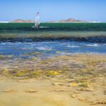 Mauvaise nouvelle de Mar Menor: enregistre une augmentation soutenue de la chlorophylle et de la turbidité