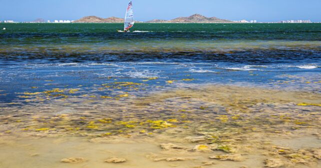 Malas noticias Mar Menor aumento clorofila turbidez