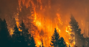 incendios sexta generación
