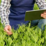 Projet européen AI4SoilHealth: Soil Health Data Cube, AI pour protéger le pays de l'Europe