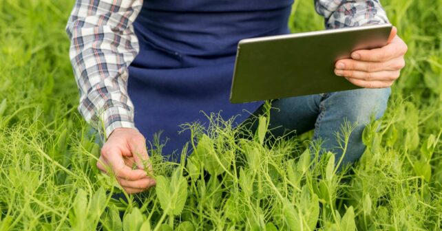 AI4SoilHealth Soil Health Data Cube IA proteger suelo Europa
