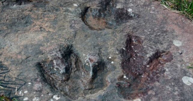 Teruel no deja de sorprendernos, descubren cientos de nuevas huellas de dinosaurios de hace 150 millones de años