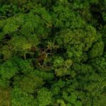 Tout sur la biodiversité