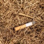Avec 1 euro investi dans la prévention des incendies de forêt, nous économiserions 99 pour les éteindre