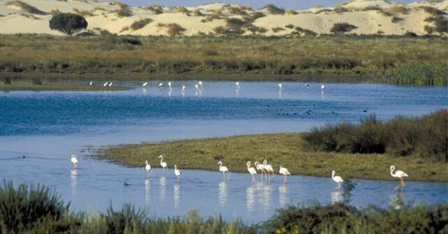 Doñana agua lluvia infiltra evapora almacena subsuelo