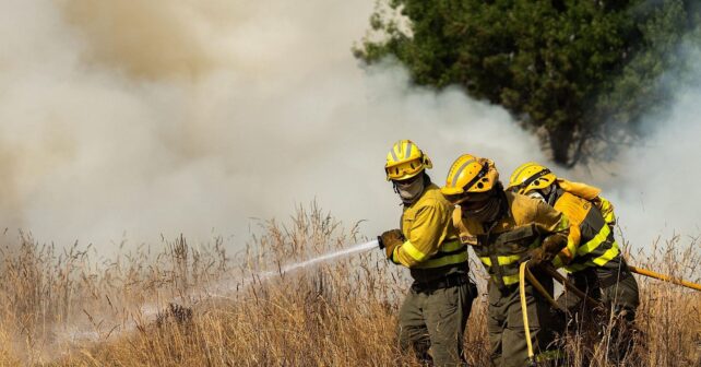 incendios forestales España actualización 14 agosto