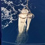 Îles Baléares: Cob et Ieo Scientists, CSIC Étude L'impact du plastique sur la mer sur la biodiversité