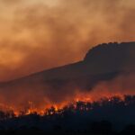 Incendies de forêt à Cáceres, Ávila et Pontevedra, les confinement augmentent: 42 000 hectares brûlés si loin de 2025