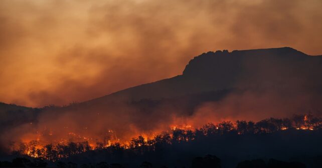 Incendios forestales en Cáceres, Ávila y Pontevedra, se levantan los confinamientos 42.000 hectáreas quemadas en lo que va de 2025
