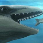 Janjucetus Dulardi, décrire une baleine éteinte avec des dents meurtrières et des yeux géants, a vécu il y a environ 25 millions d'années