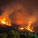 L'Espagne a besoin d'un plan avec des critères scientifiques pour «prévenir» les incendies de forêt