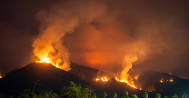 España científicos prevenir incendios forestales