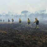 L'incendie de la forêt dans «San Bartolomé de Pinares» fait référence, les expulsions restent et ont encore réduit le trafic de train entre Ávila et Madrid