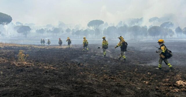 incendio forestal San Bartolomé Pinares remite desalojos tren Ávila Madrid