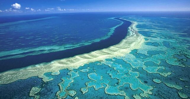gran-barrera-coral-sufre-mayor-crisis-ambiental-historia