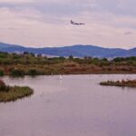 La preuve qui démontre l'échec des mesures environnementales dans le «Delta del llobregat»