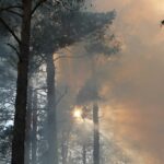 Le feu de forêt de Tolède est périmètre, malgré les conditions météorologiques défavorables