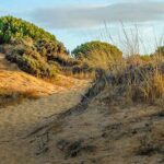 Le gouvernement signe l'ordre des bases qui permettront la renaturalisation et la reprise écologique de l'environnement Doñana