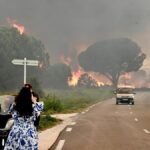 Le plus grand incendie de forêt de l'année en France prend un mort et 11 000 hectares calcinés