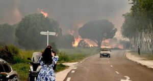 incendio forestal Francia muerto hectáreas calcinadas