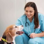 Le traitement vétérinaire à nos animaux devrait se déduire dans l'IRPF