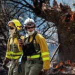 León: 5 incendies de forêt d'une grande ampleur brûlent encore