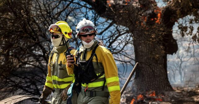 León incendios forestales ardiendo