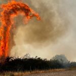 Les écologistes demandent des actions urgentes et la prévention des incendies en Espagne, les dommages aux «las médules» en est le dernier exemple