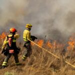 Les incendies de forêt en Espagne affectent les zones naturelles protégées