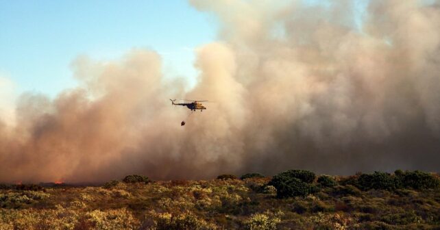 incendios forestales España calcinado hectáreas superficie arrasada fuego