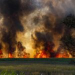 Nous expliquons ce qui devrait arriver pour qu'un incendie de forêt déclare au niveau 0, 1, 2 ou 3