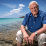 Océan. Le dernier refuge sauvage de la Terre, le dernier de David Attenborough, objectif: Protégez les mers