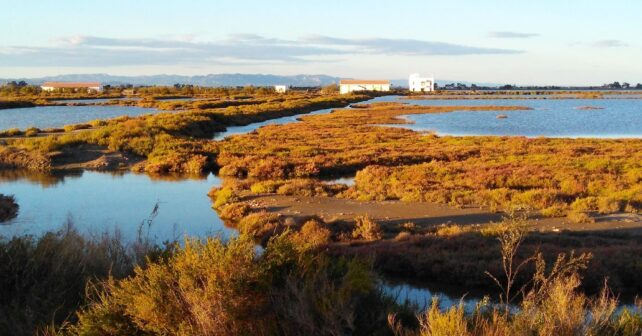 Proyecto REST-COAST protección humedales Mediterráneo impedir desaparición