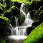 Qu'est-ce que le miteco? Fonctions et responsabilités aux défis de la transition écologique