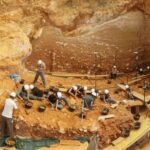 Surprenant, décrivez la «faune glaciaire» à Atapuerca