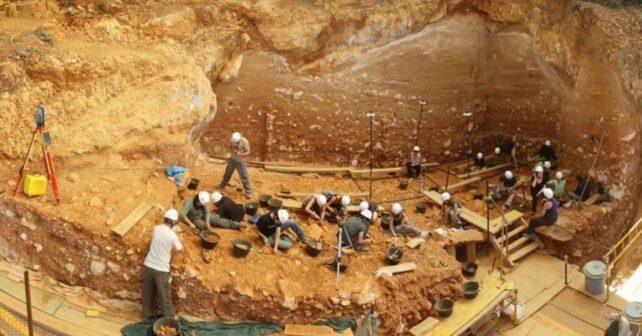 sorprendente-describen-fauna-glacial-atapuerca