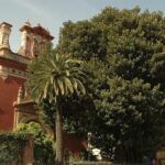 Talan le «Ficus de San Jacinto» dans le quartier de Triana: une «attaque» contre le patrimoine naturel à Séville