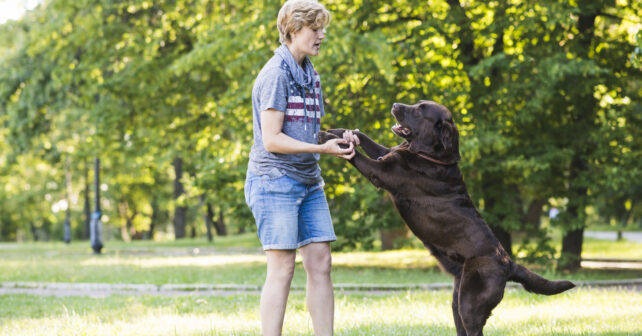 Types de problèmes de comportement que vous pouvez traiter en tant que dresseur de chiens