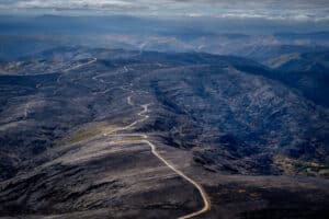 Les écologistes documentent les images exclusives des zones brûlées incendies de forêt