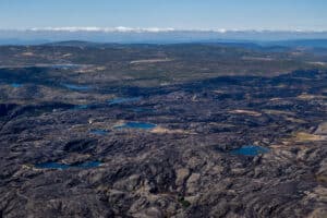 Les écologistes documentent les zones brûlées des incendies de forêt