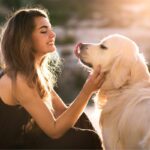 Les 5 races de chiens les plus intelligentes : la n°4 surprend tout le monde