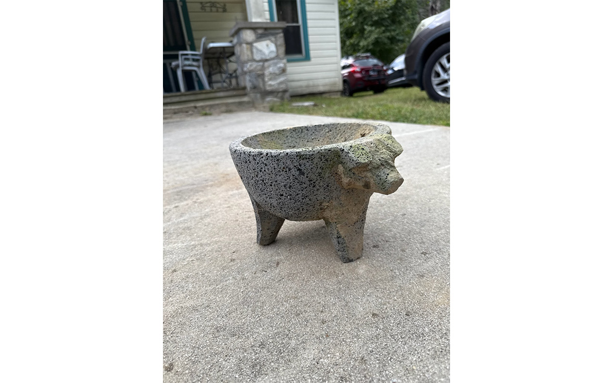 Photo gracieuseté de Donovan Green