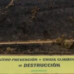 À partir de ce 2025, vous devez «repenser» ce qui doit être fait pour arrêter les incendies de forêt de sixième génération