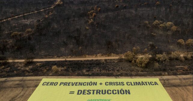 2025 repensar que hacer frenar incendios forestales sexta generación