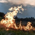 Arrêter le nord-ouest des incendies de «méfiance» que les nouvelles normes préfèrent négocier avec ce qui a été brûlé dans les derniers incendies de forêt