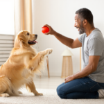 Combien de temps faut-il à un chien pour oublier son maître ?