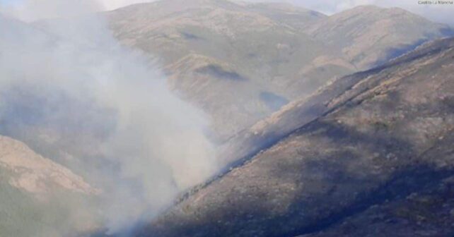 Polémica gestión incendio forestal Pico Lobo Peñalba Sierra Guadalajara