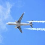 Elle se plaint d’être assise entre deux personnes obèses dans l’avion et reçoit une compensation inattendue