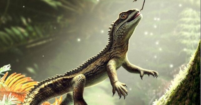 Describen cráneo 242 millones años ancestro lagartos Agriodontosaurus Helsbypetrae